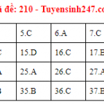 Vat-Ly-210