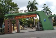 Điểm chuẩn năm 2020 của Trường Đại học Nông Lâm – ĐH HUẾ diem-chuan-nam-2020-cua-truong-dai-hoc-nong-lam-dh-hue